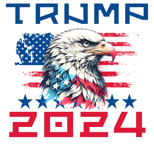 Take Back America - Donald Trump - DTF Transfer